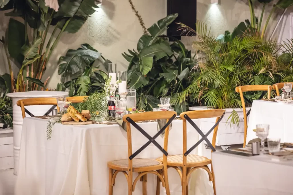 עותק של 20241009-1Q6A0551דחוס